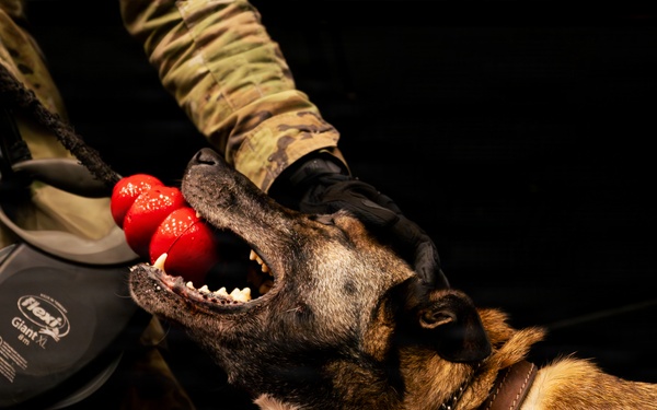 86 SFS, 100 MP conquer substance detection training at Ramstein AB