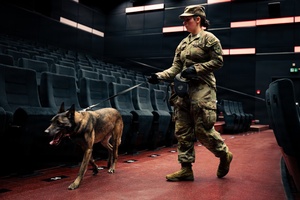 AFN Naples Radio News - Military Working Dogs Training and USAG Stuggart Sensory Santa