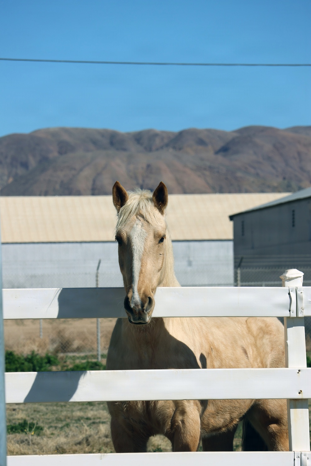 MCLB Barstow stables