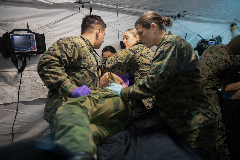 CORE 26 | U.S. and Allied Medics Train to Save Lives in Norway during Exercise Cold Response