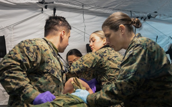 CORE 26 | U.S. and Allied Medics Train to Save Lives in Norway during Exercise Cold Response