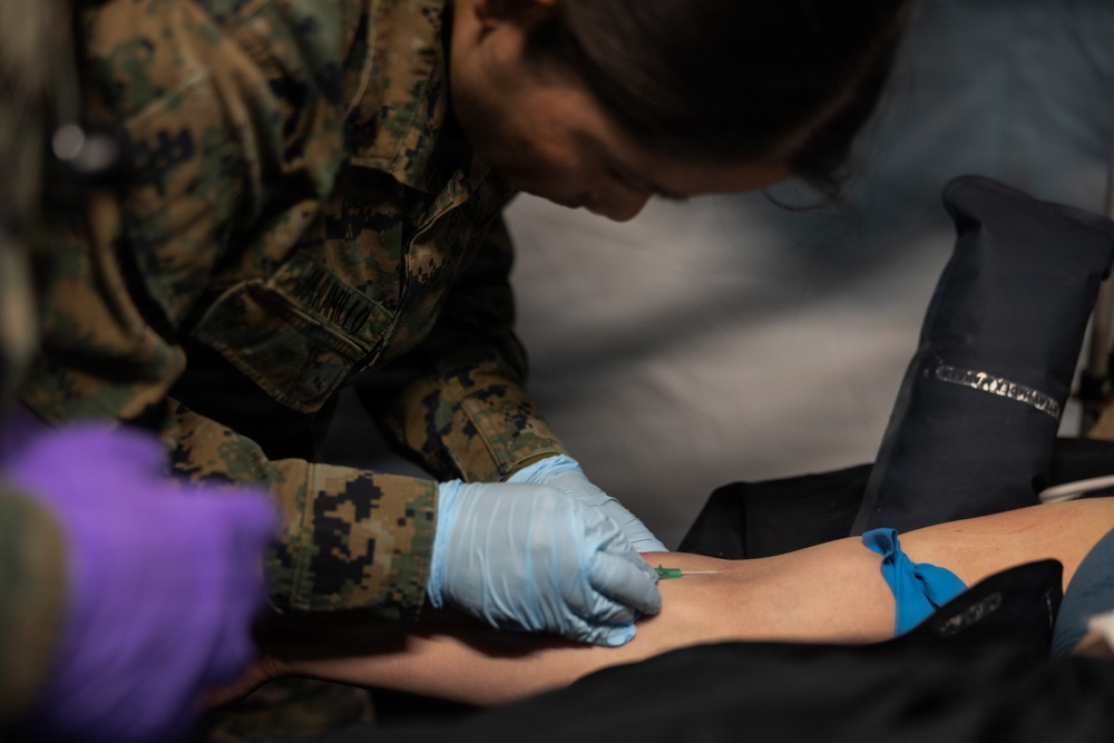 CORE 26 | U.S. and Allied Medics Train to Save Lives in Norway during Exercise Cold Response