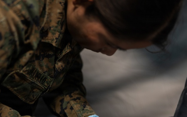 CORE 26 | U.S. and Allied Medics Train to Save Lives in Norway during Exercise Cold Response