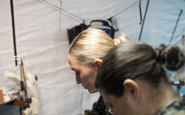 CORE 26 | U.S. and Allied Medics Train to Save Lives in Norway during Exercise Cold Response