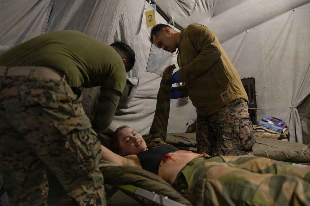 CORE 26 | U.S. and Allied Medics Train to Save Lives in Norway during Exercise Cold Response