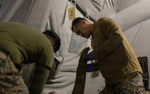 CORE 26 | U.S. and Allied Medics Train to Save Lives in Norway during Exercise Cold Response