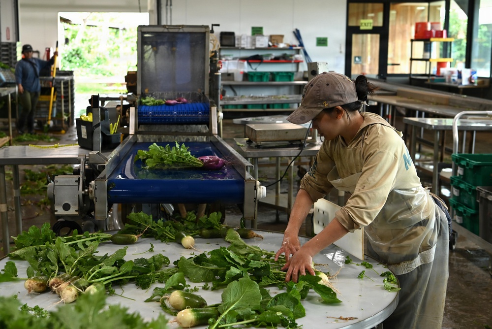 MA’O Organic Farms