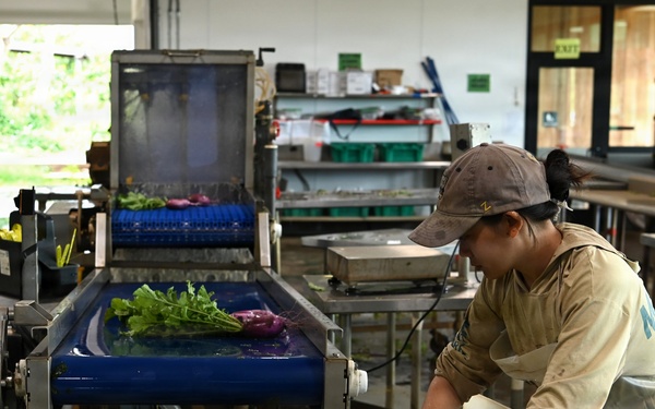 MA’O Organic Farms