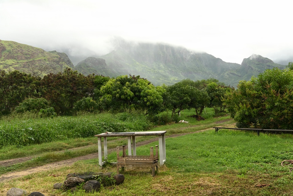 MA’O Organic Farms