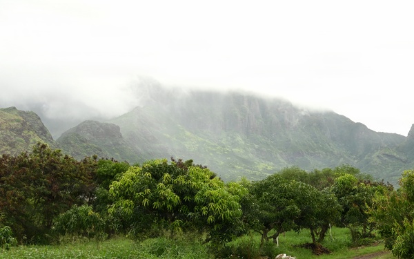 MA’O Organic Farms