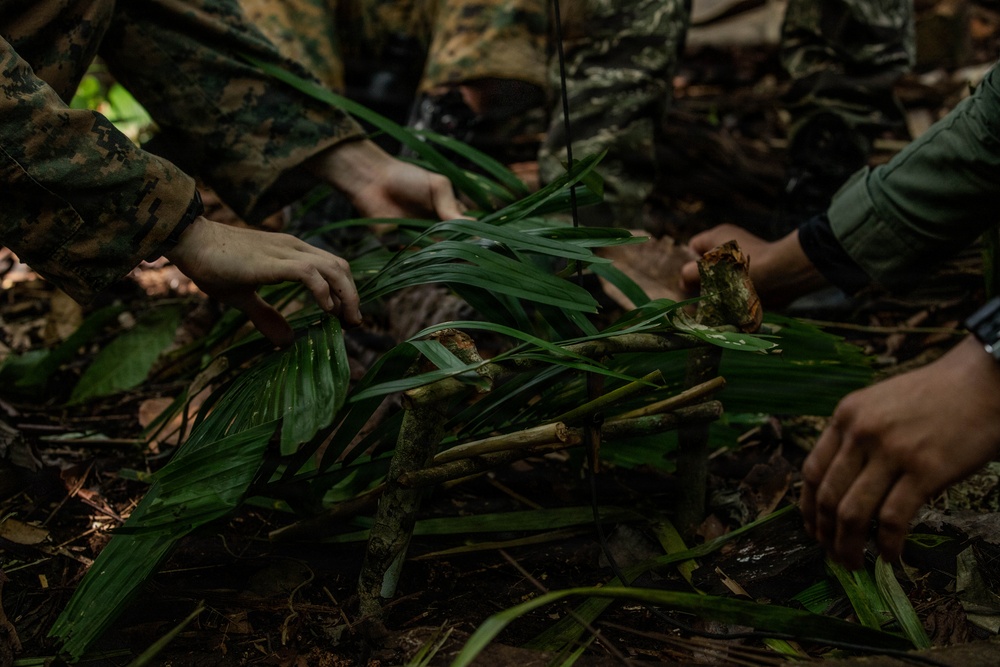 Jungle Operations Training Course - Panama: Jungle Traps and Crafting Training