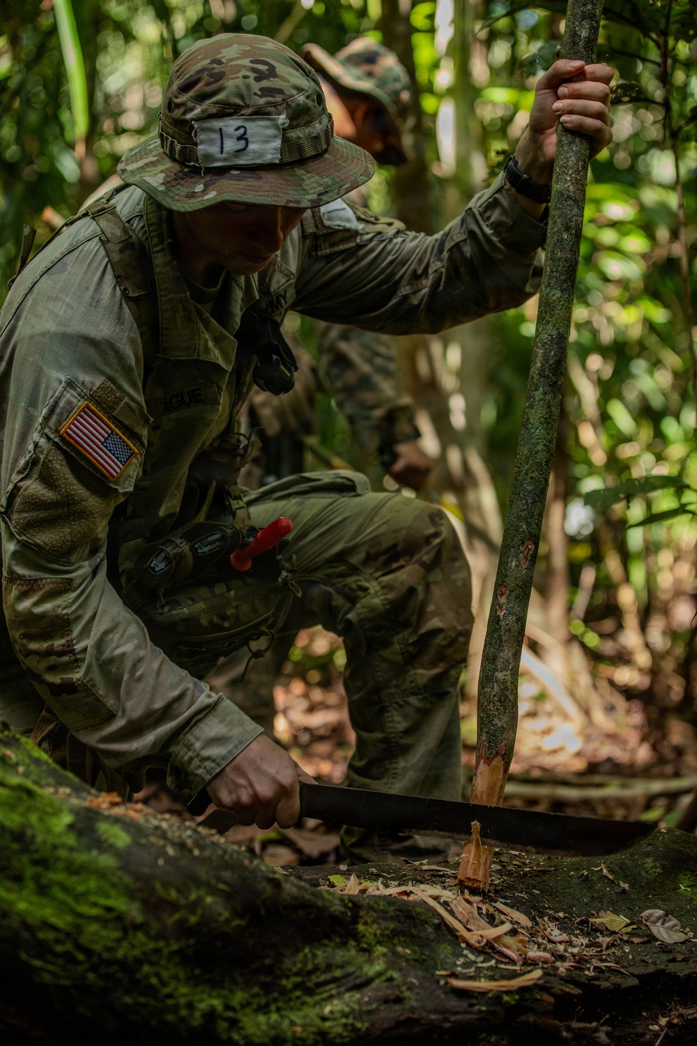 Jungle Operations Training Course - Panama: Jungle Traps and Crafting Training
