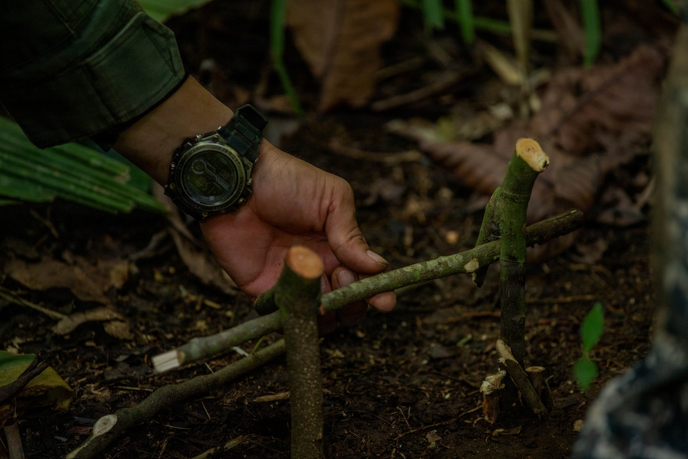 Jungle Operations Training Course - Panama: Jungle Traps and Crafting Training