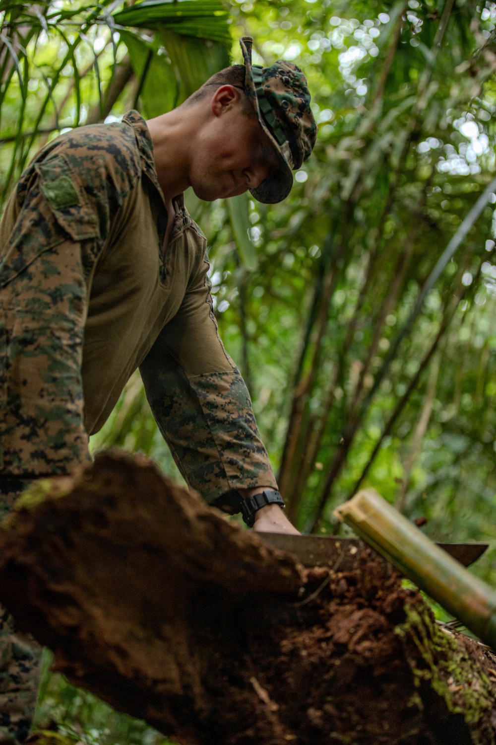 Jungle Operations Training Course - Panama: Jungle Traps and Crafting Training