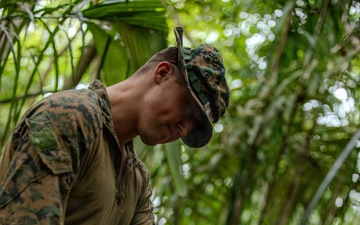 Jungle Operations Training Course - Panama: Jungle Traps and Crafting Training