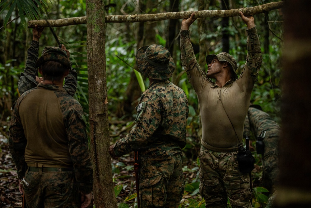 Jungle Operations Training Course - Panama: Jungle Shelter Crafting