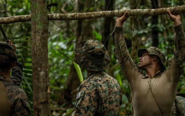 Jungle Operations Training Course - Panama: Jungle Shelter Crafting