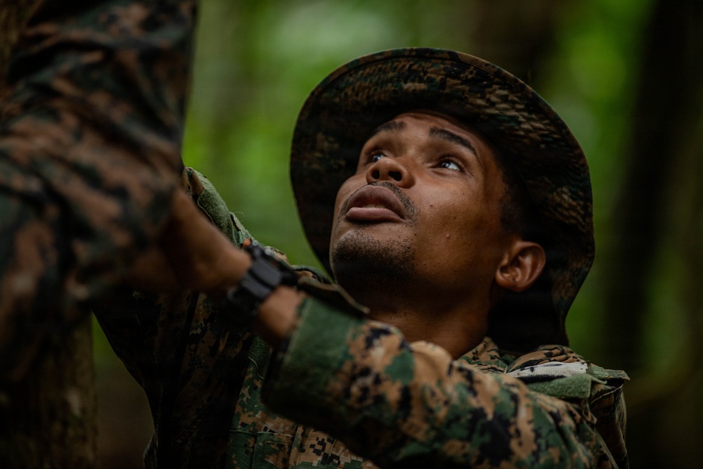 Jungle Operations Training Course - Panama: Jungle Shelter Crafting