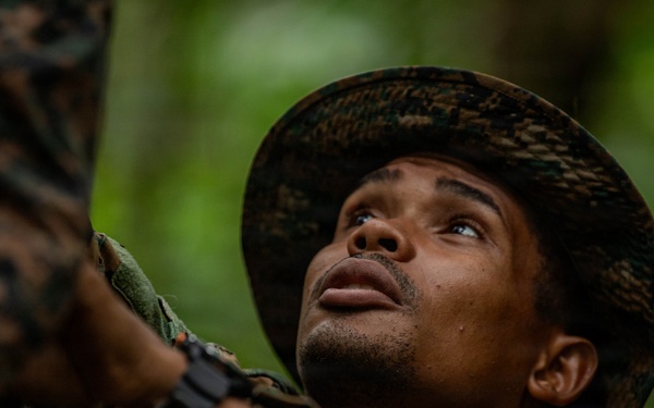 Jungle Operations Training Course - Panama: Jungle Shelter Crafting