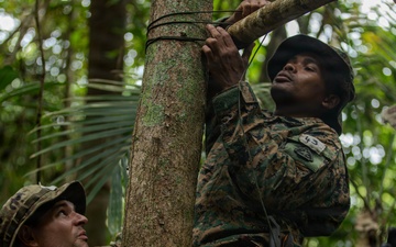 Jungle Operations Training Course - Panama: Jungle Shelter Crafting