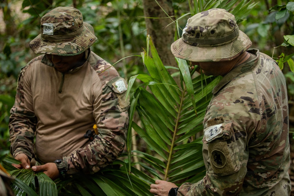 Jungle Operations Training Course - Panama: Jungle Shelter Crafting