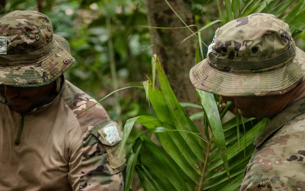 Jungle Operations Training Course - Panama: Jungle Shelter Crafting