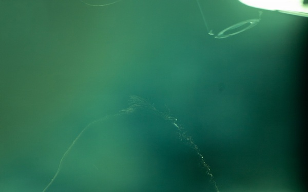 Flight Operations Onboard USS Boxer