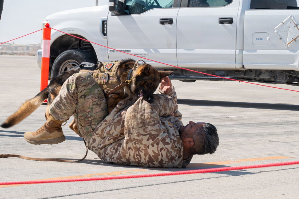 Al Udeid Air Base hosts Partnership Day