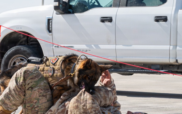Al Udeid Air Base hosts Partnership Day