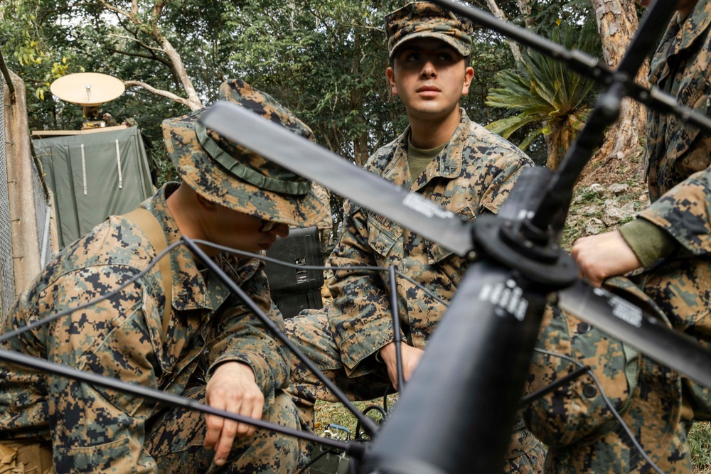 5th Air Naval Gunfire Liaison Company Marines conduct communication exercise