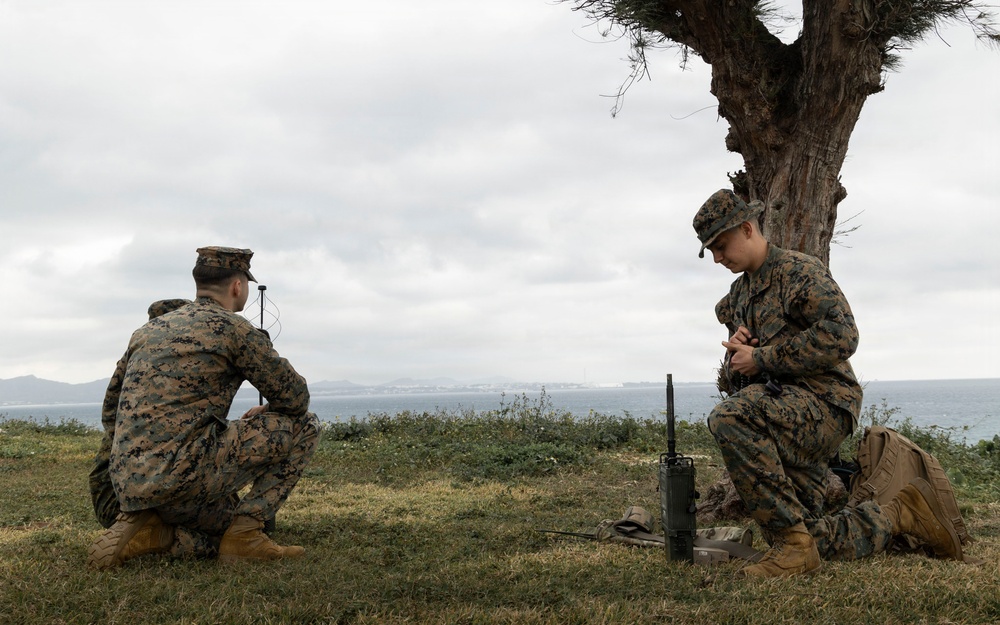 5th Air Naval Gunfire Liaison Company Marines conduct communication exercise