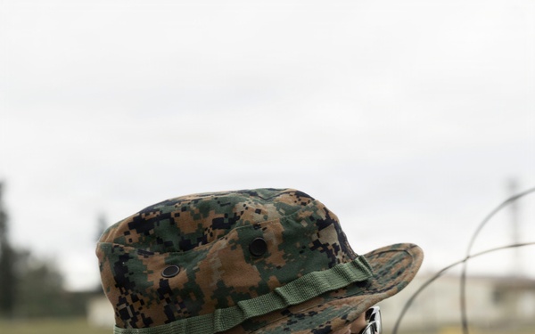 5th Air Naval Gunfire Liaison Company Marines conduct communication exercise