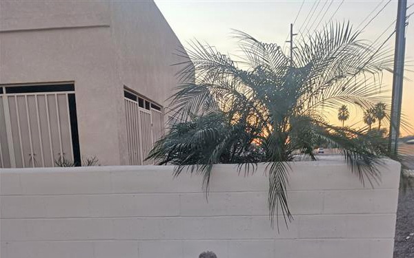 YPG employee and his dog Eli, rescue fallen neighbor