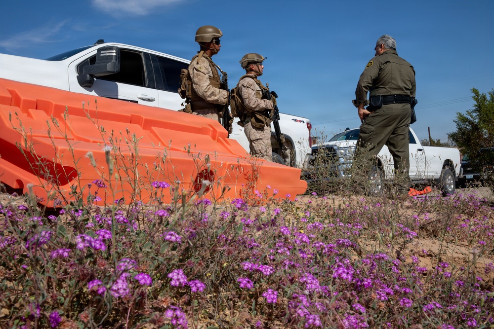 Marines patrol the southern border