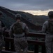 2nd Battalion, 2nd Marines work with Border Patrol