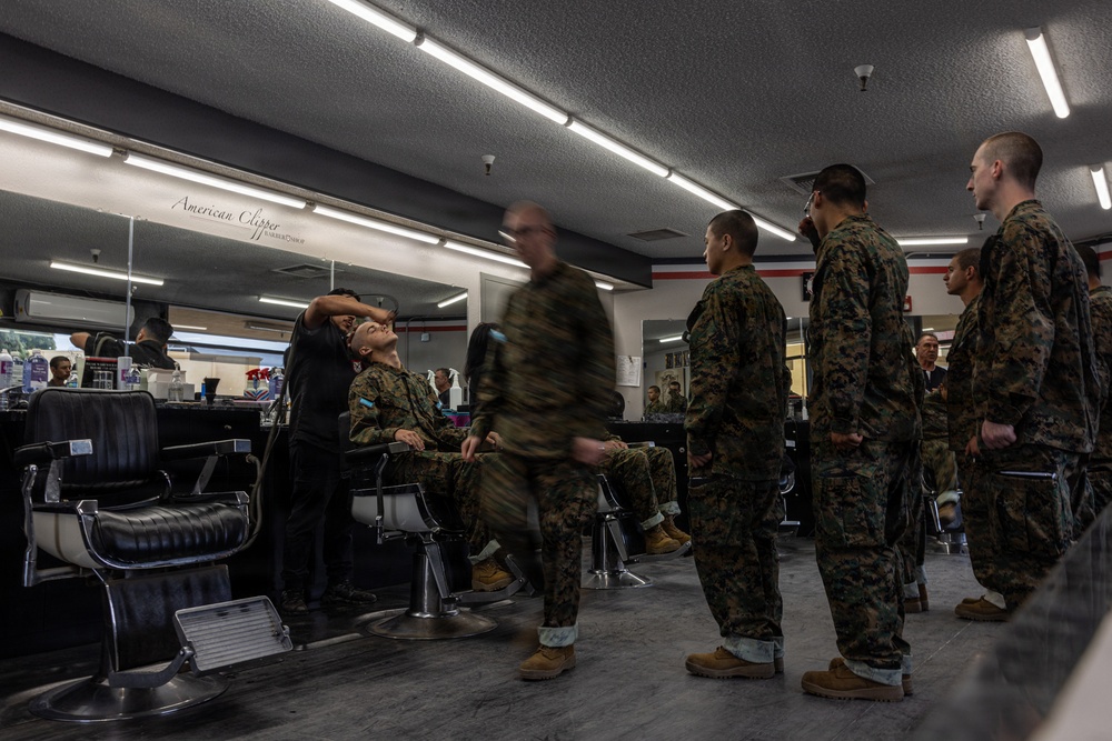 Mike Company Haircut Call