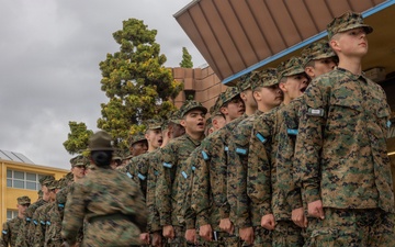 Mike Company Haircut Call