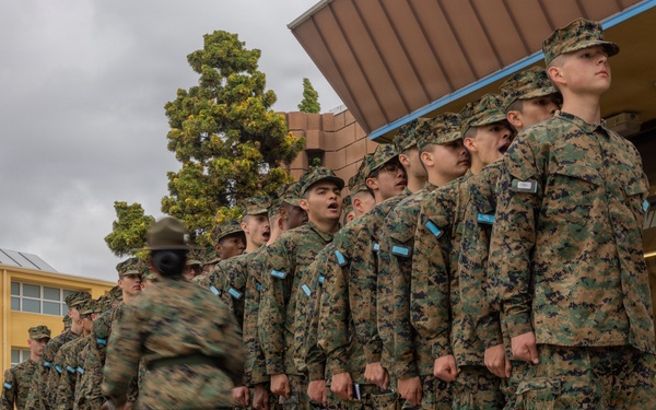 Mike Company Haircut Call