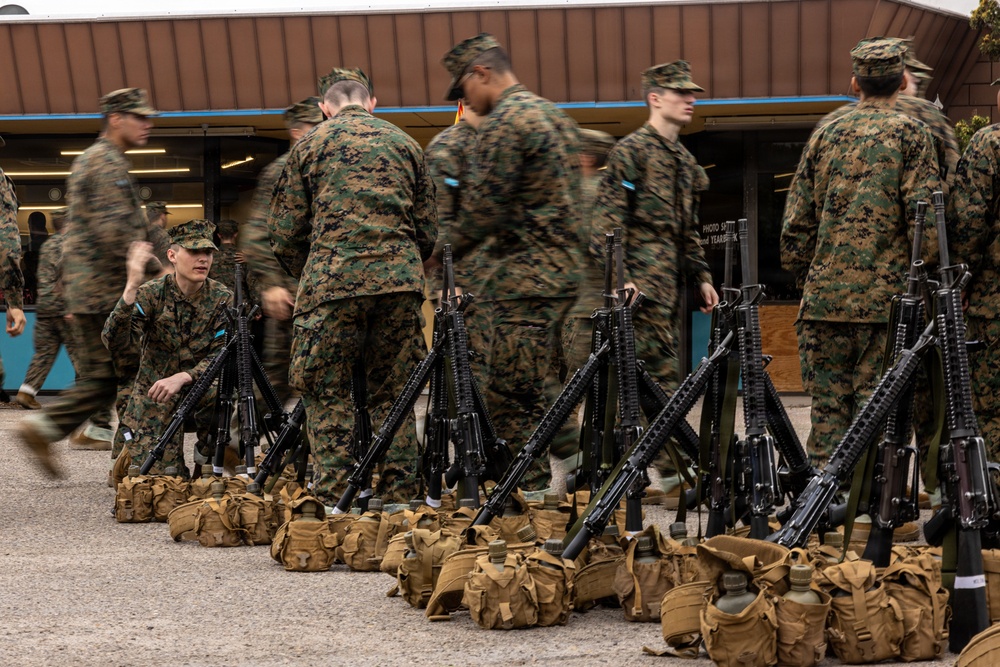 Mike Company Haircut Call