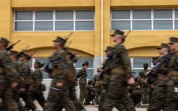 Mike Company Haircut Call