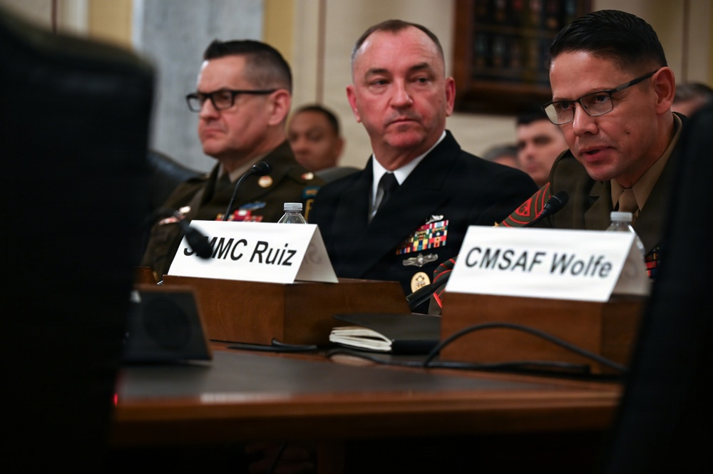 Sgt. Maj. of the Marine Corps Carlos Ruiz Testifies Senate Armed Services Committee Subcommittee on Personel
