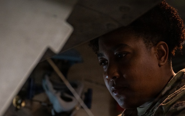 Gunfighter Flag 25-02