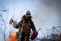 Camp Fire Restoration