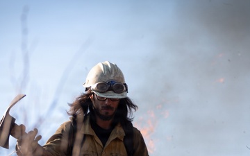 Post-wildfire restoration in the 2018 Camp Fire area on the Plumas National Forest