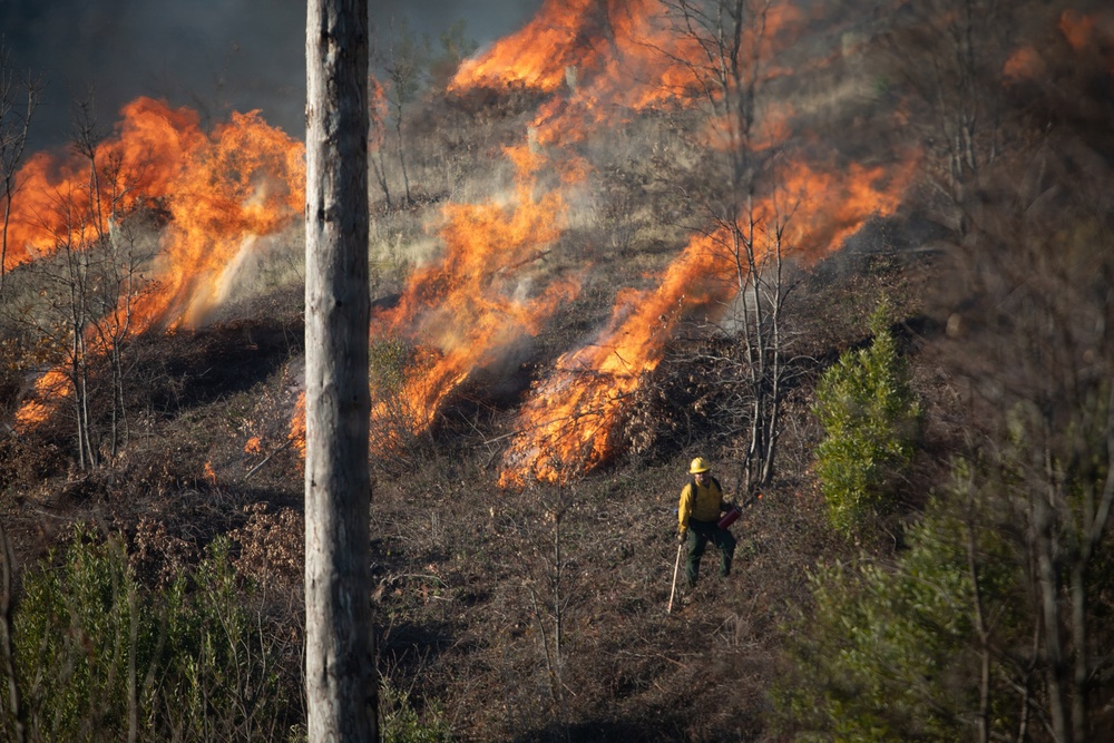 Camp Fire Restoration