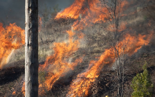 Camp Fire Restoration