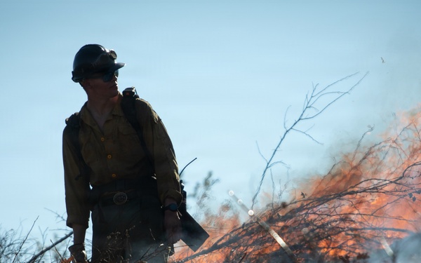 Camp Fire Restoration