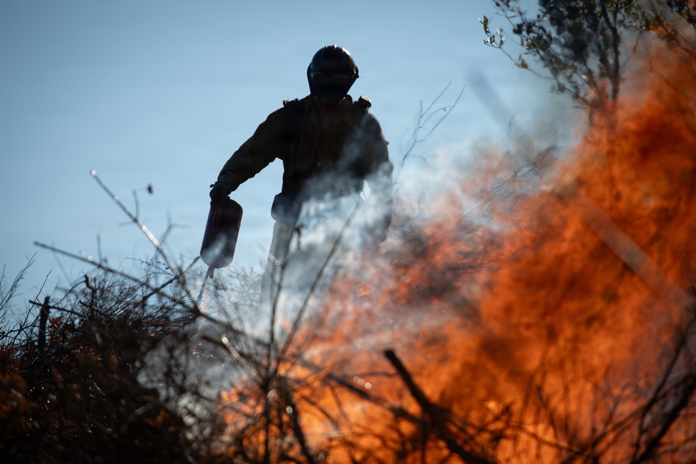 Camp Fire Restoration
