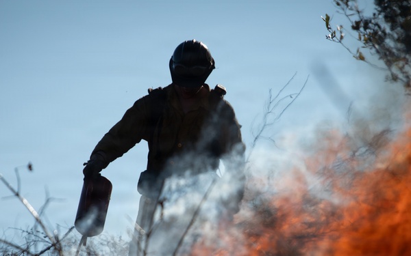 Camp Fire Restoration