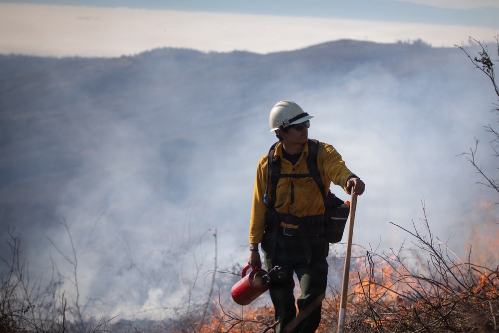 Camp Fire Restoration